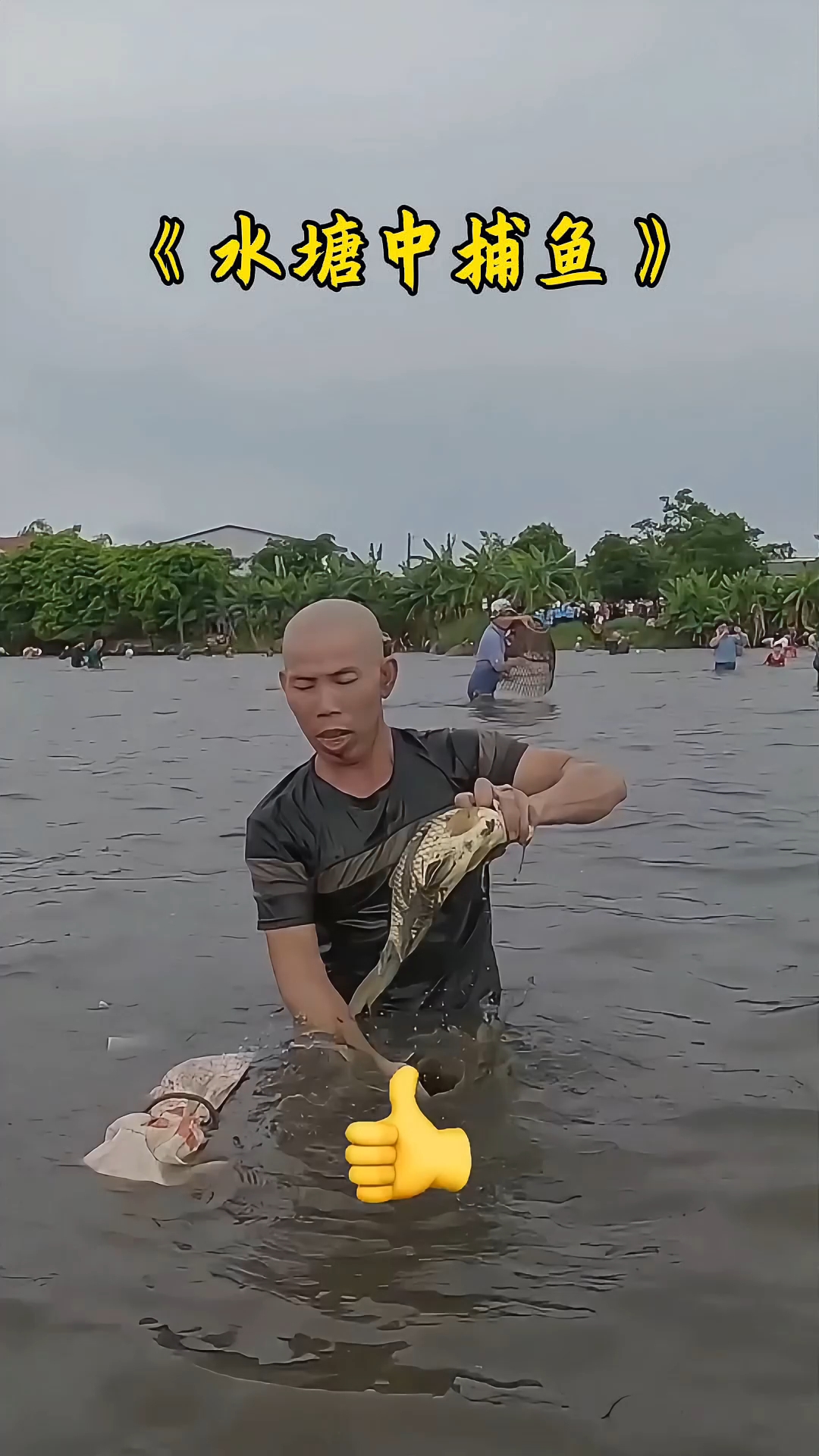 十年难得一见的农村真实捕鱼画面！