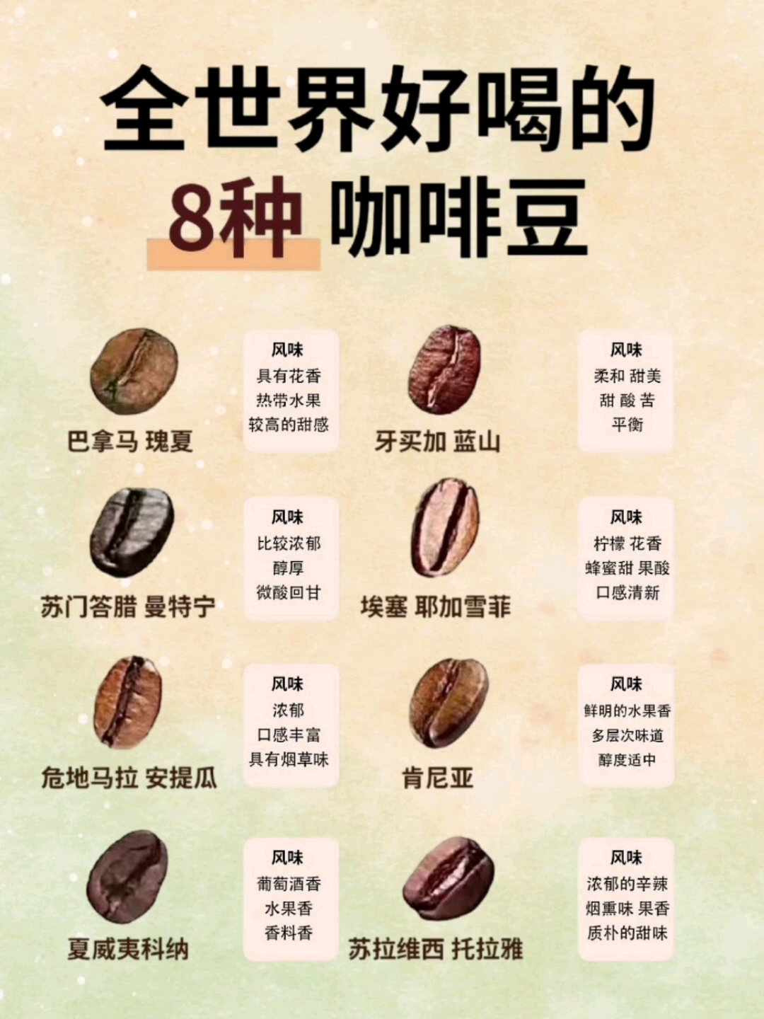 全世界最好喝的咖啡豆