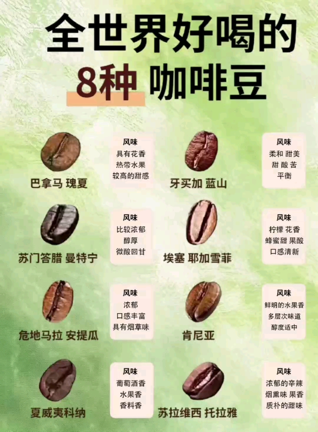 全世界最好喝的8种咖啡豆