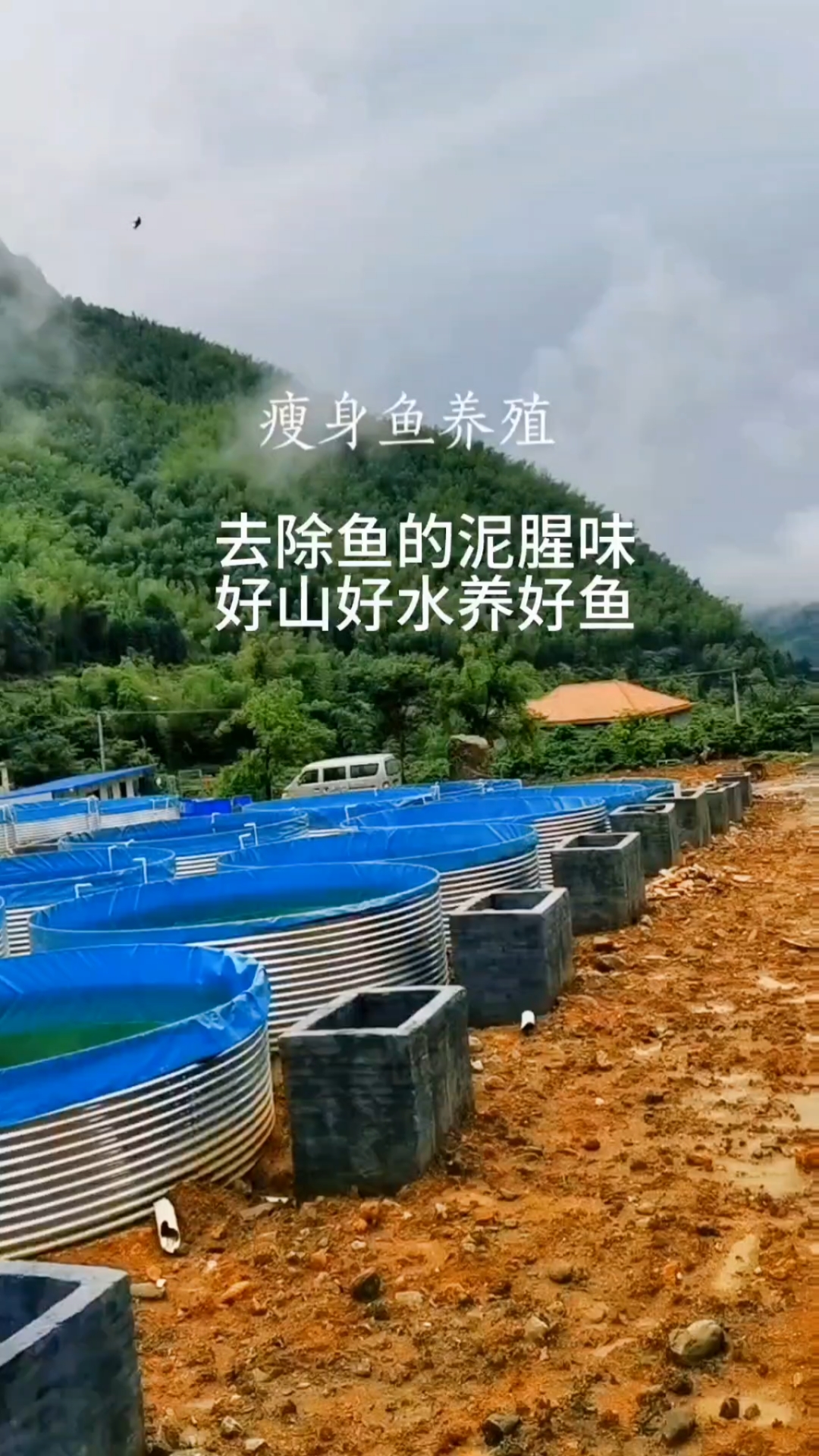 帆布池养殖瘦身鱼,去除鱼的泥腥味,养好鱼!!