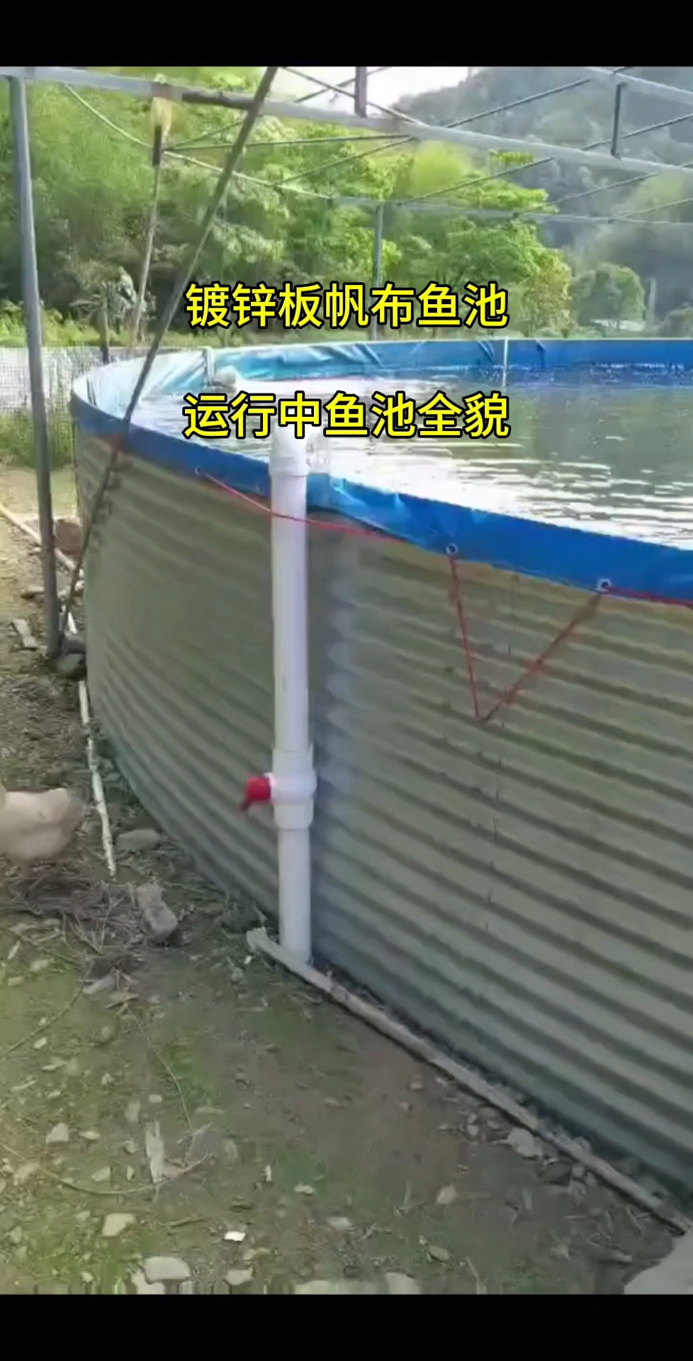 镀锌板帆布鱼池养殖池!