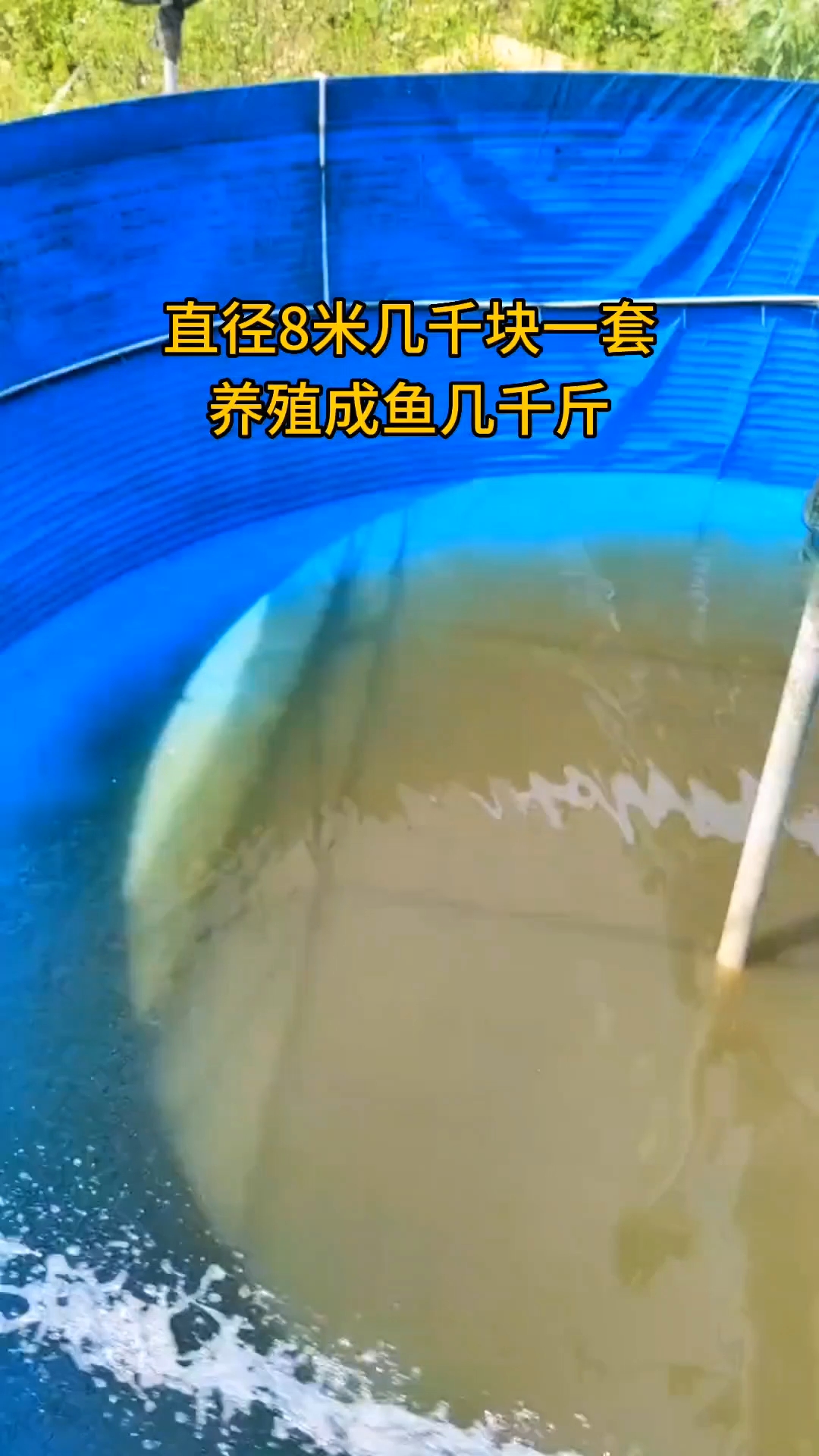 镀锌板帆布鱼池高密度养鱼!