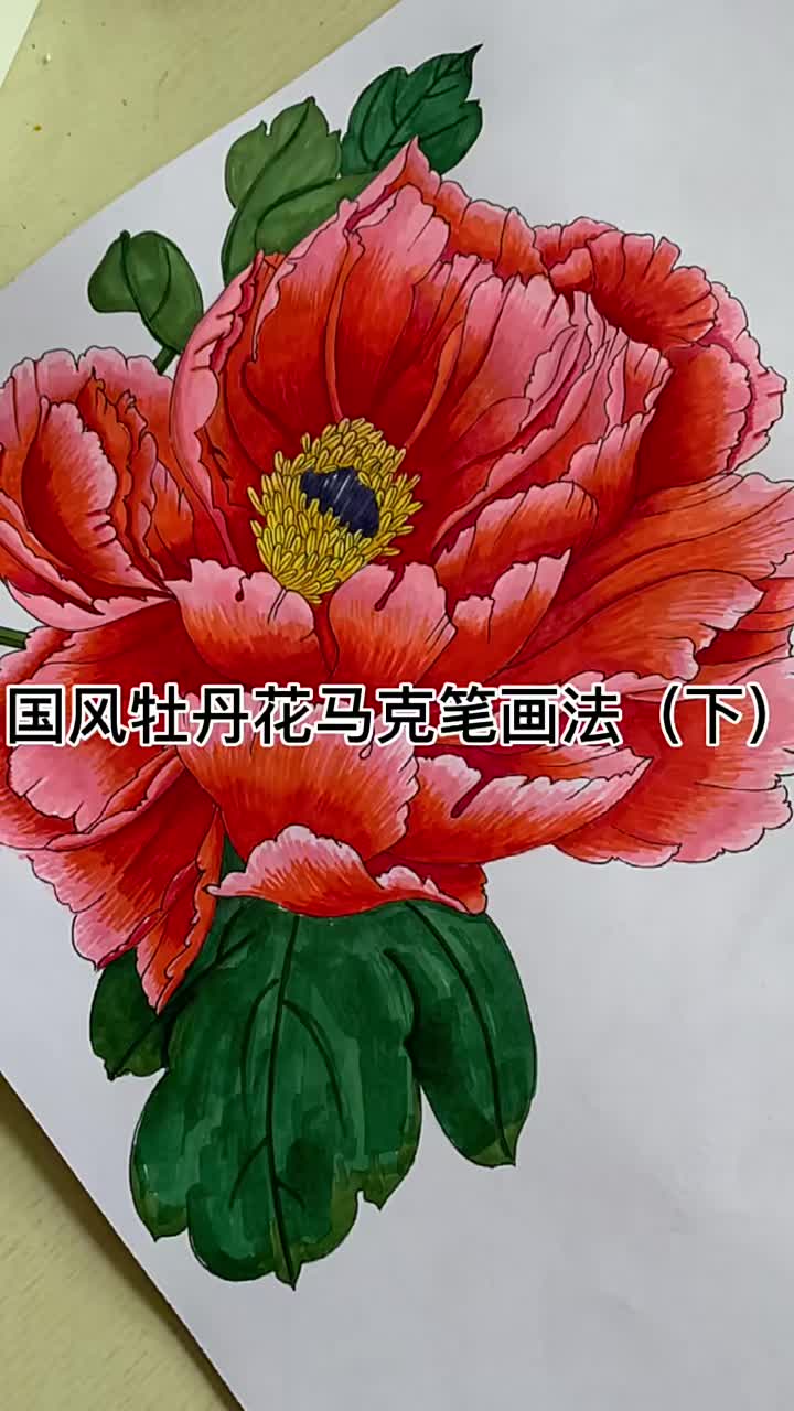 中国风牡丹花马克笔画法