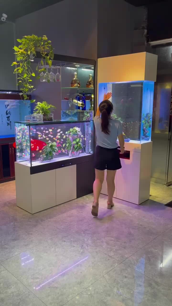 客厅隔断鱼缸这样放太完美