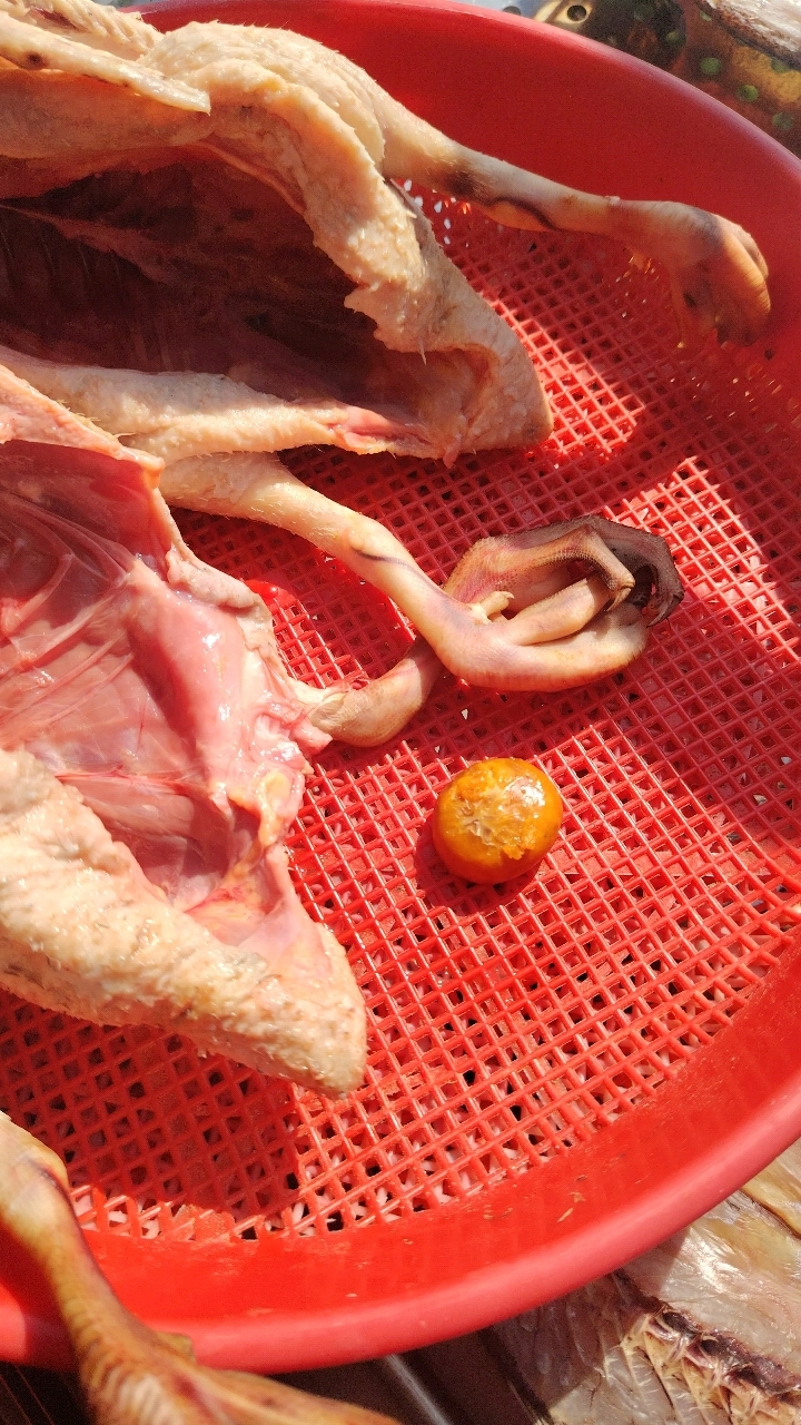 这个是不是鸭宝啊?