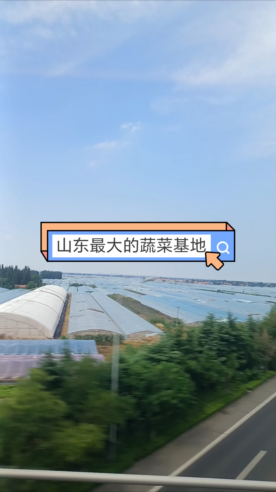 山东最大的蔬菜基地,是看不见黄土的,技术变了,口味也变了!