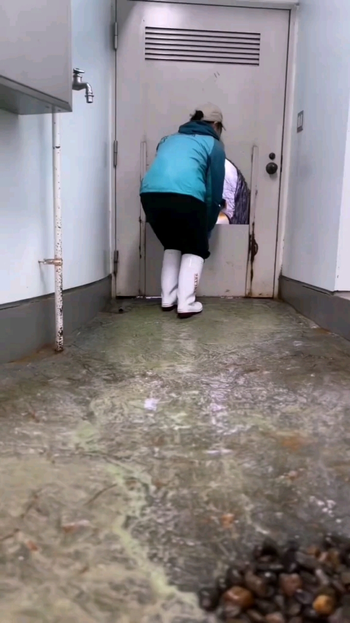 帝企鹅是企鹅家族中最大的企鹅,不过还是很可爱!