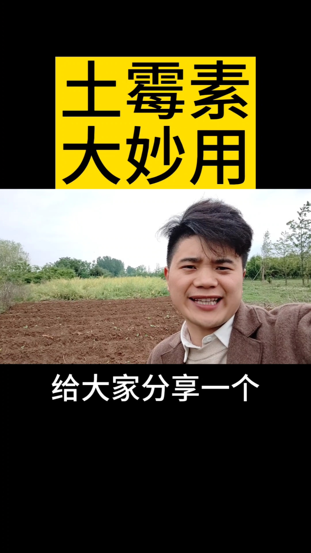 自己家的小菜园儿,怎么样才能种出绿色又健康高产的,蔬菜?