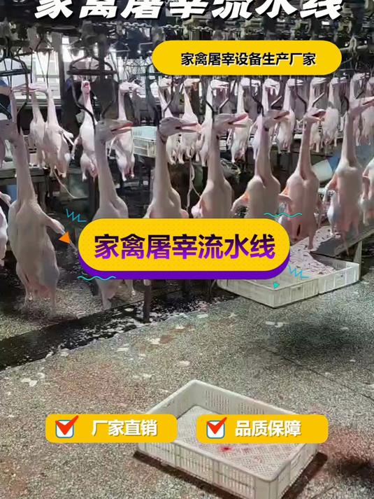 家禽屠宰机器,肉鸡屠宰加工流水线