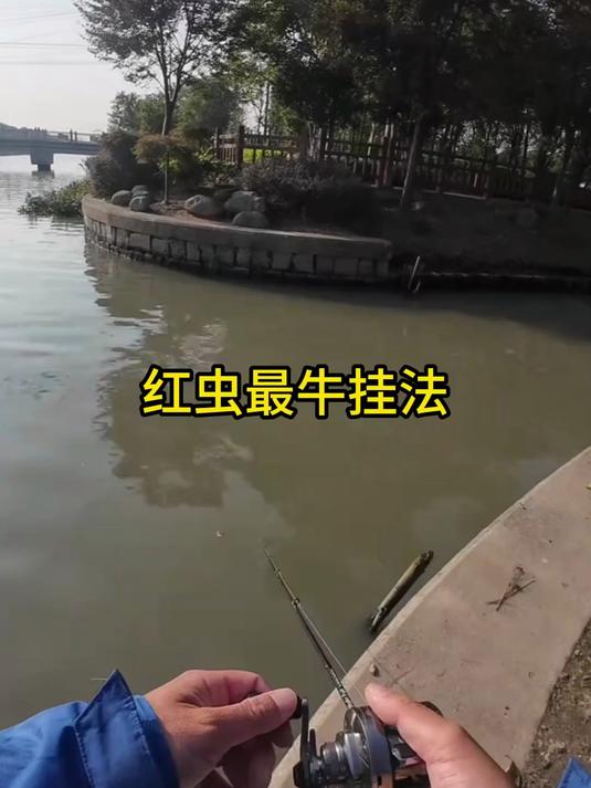 掌握这种红虫挂法，轻松成为钓鱼高手