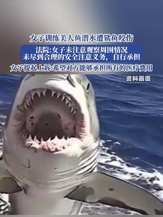 女子训练美人鱼潜水遭鲨鱼咬伤,法院:女子未注意观察周围情况