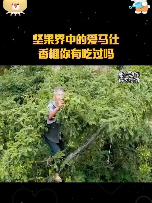 香榧,一种珍贵的干果,其价格因大小、品质等因素而异