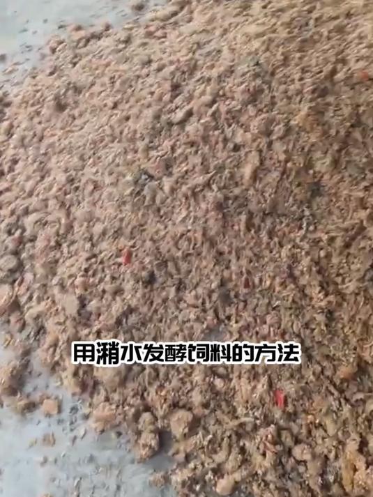 潲水发酵饲料的方法:潲水就是泔水,一般都是来自食堂或者饭店的剩饭剩菜。潲水可以饲喂猪鸡等各