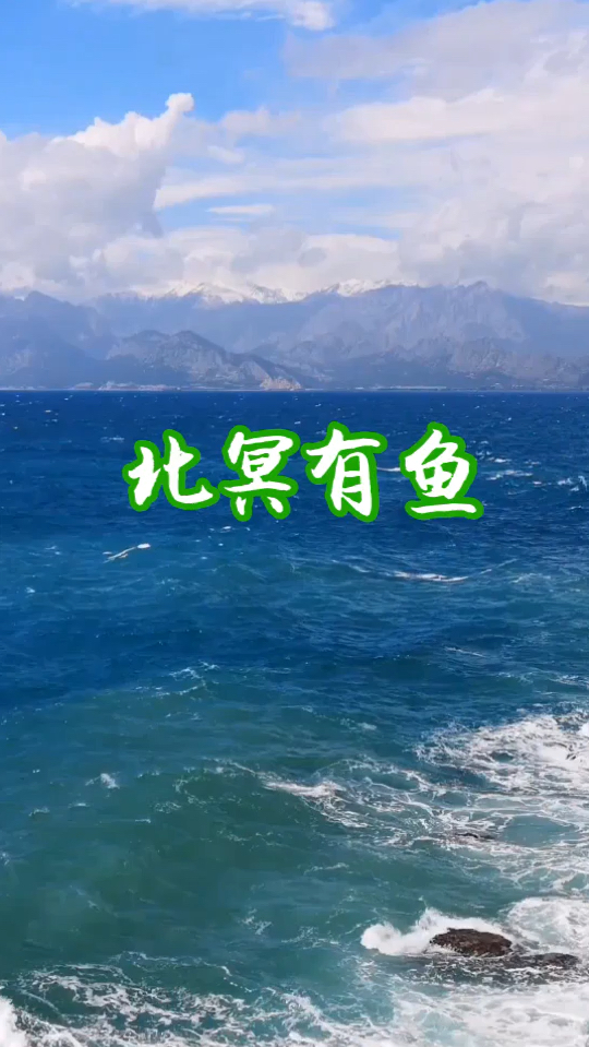 初中语文·文言文·八下·《庄子》二则·北冥有鱼