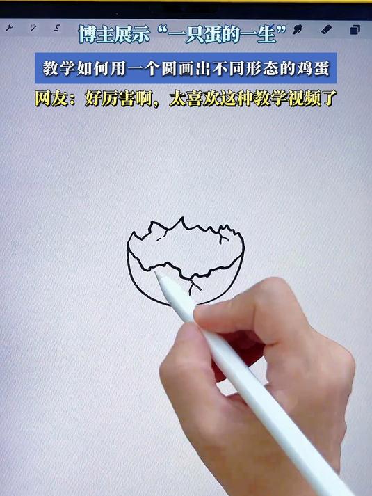 博主展示“一只蛋的一生”，教学如何用一个圆画出不同形态的鸡蛋