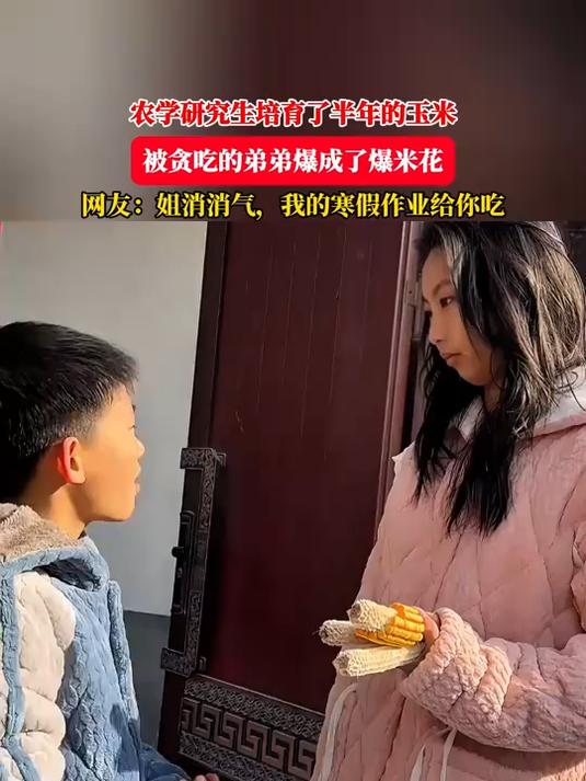 农学研究生培育了半年的玉米,被贪吃的弟弟爆成了爆米花