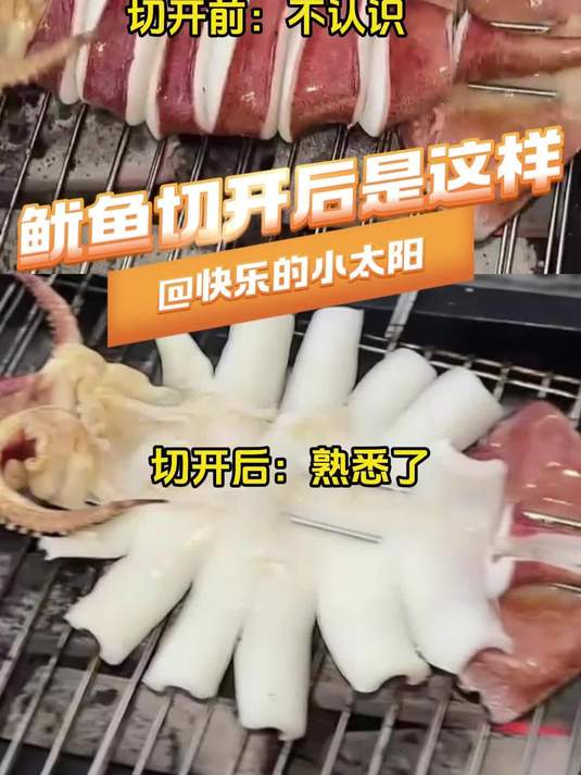 原来扁的鱿鱼是一整条切开后的样子