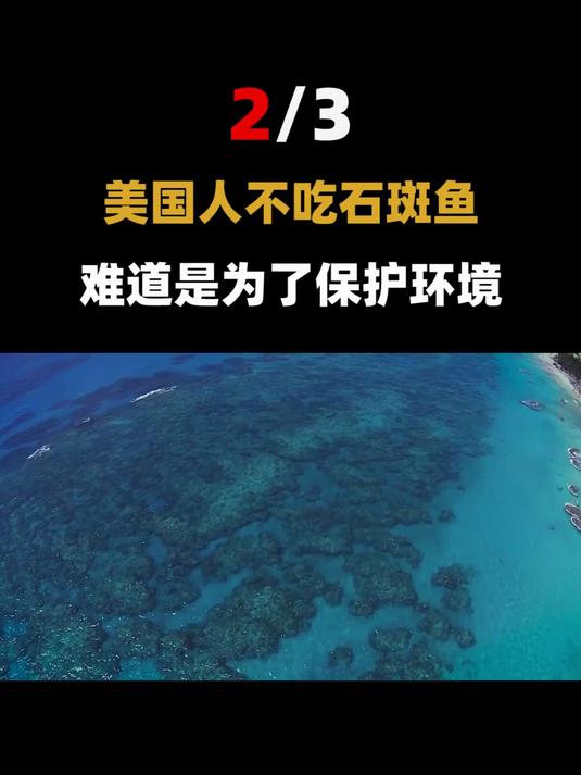 世界上最大的石斑鱼能有多大,吃鲨鱼吞掉人类,体长能有四五米?