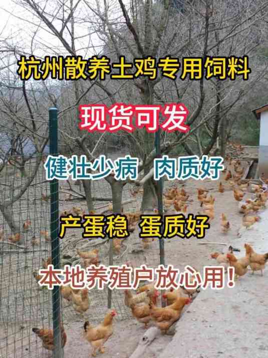杭州散养土鸡专用饲料产蛋稳蛋质好本地放心用