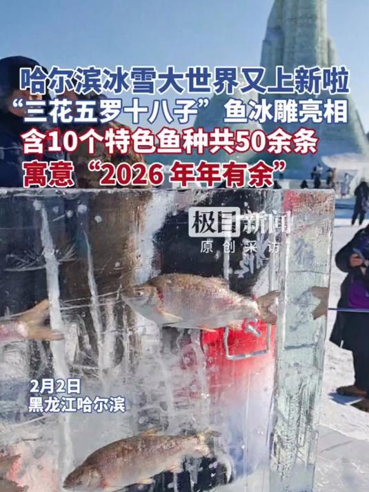 哈尔滨冰雪大世界又上新了：“三花五罗十八子”鱼冰雕惊艳亮相，含10个特色鱼种共50余条，寓