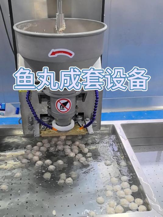 水嫩爽口的鱼丸，制作需要哪些设备？采肉机、打浆机、鱼丸机