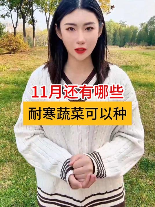天气越来越冷了,十一月份还有哪些耐寒蔬菜可以种