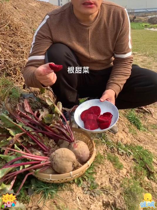 甜菜头你吃过吗