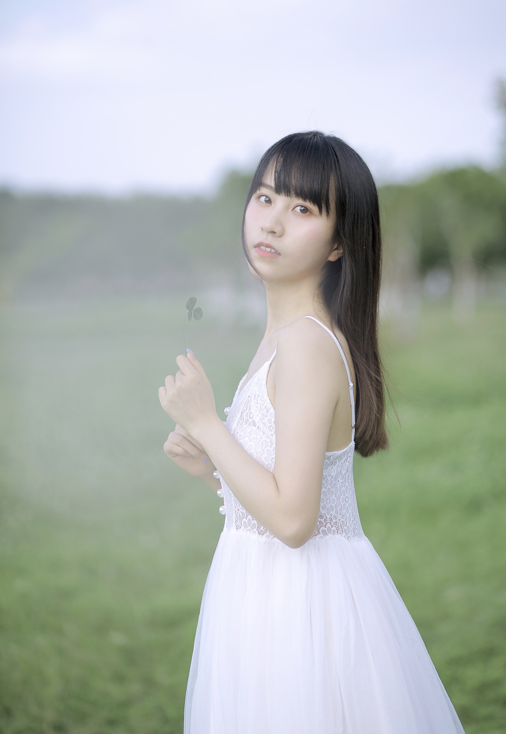 绿草地-六色网