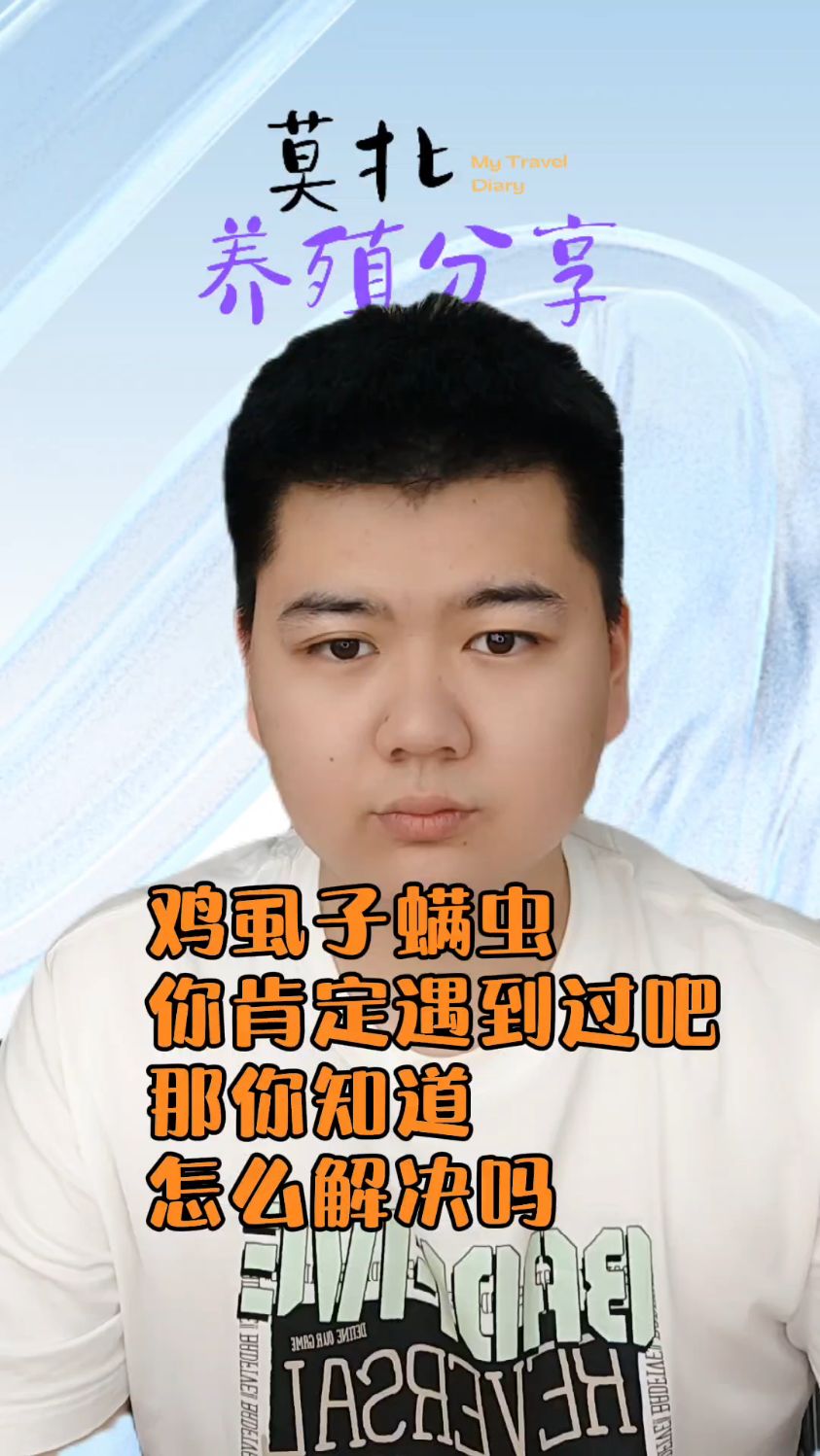 #鸡身上的虱子怎么治鸡有虱子怎么办鸡舍有鸡虱子怎么办鸡长虱子是什么原因灭鸡虱子最好