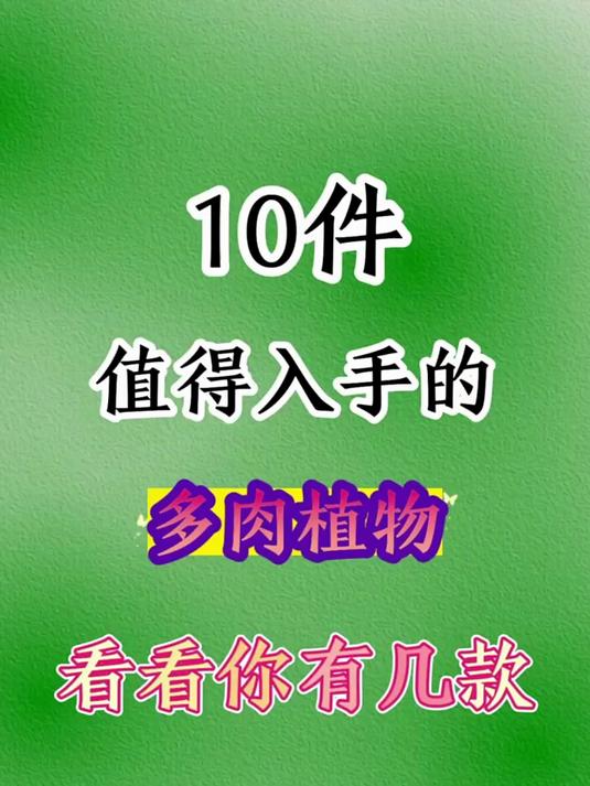 值得入手的多肉植物