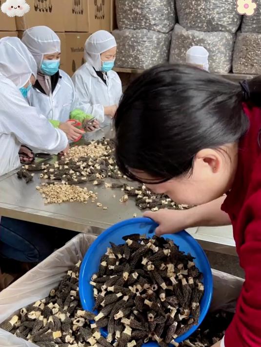 羊肚菌炖鸡汤 鲜掉眉毛的滋补汤