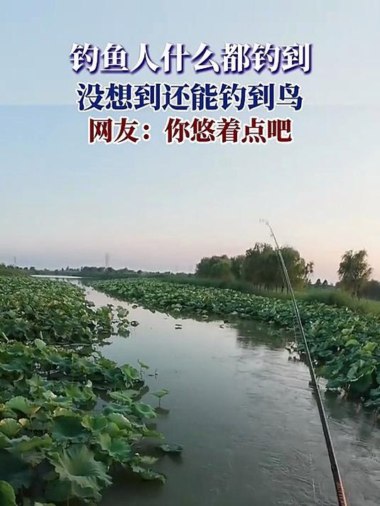 钓鱼人什么都钓到,没想到还能钓到鸟,网友:你悠着点吧