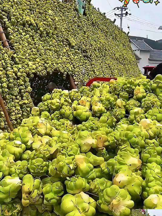 涪陵榨菜超实在!脆爽无筋,配面超开胃