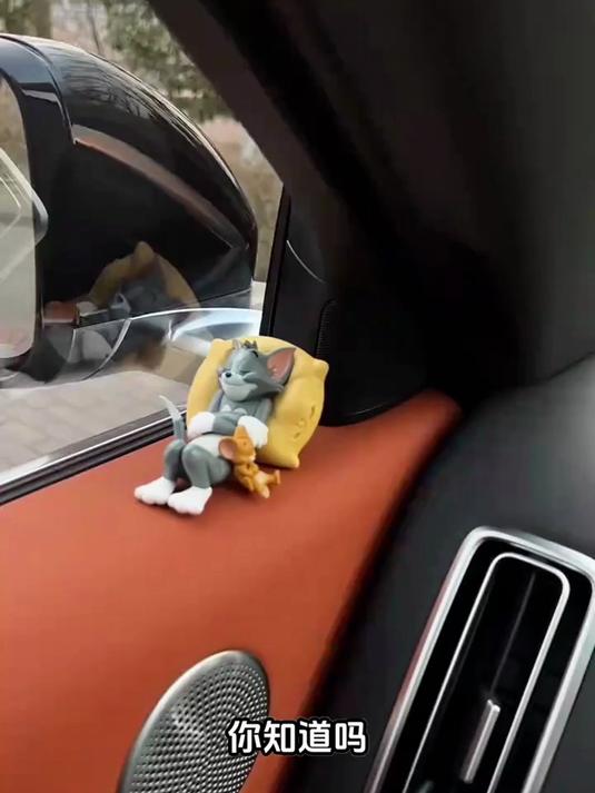 汤姆和杰瑞放在车里真的太可爱了！摆在车里满满的童年回忆！
