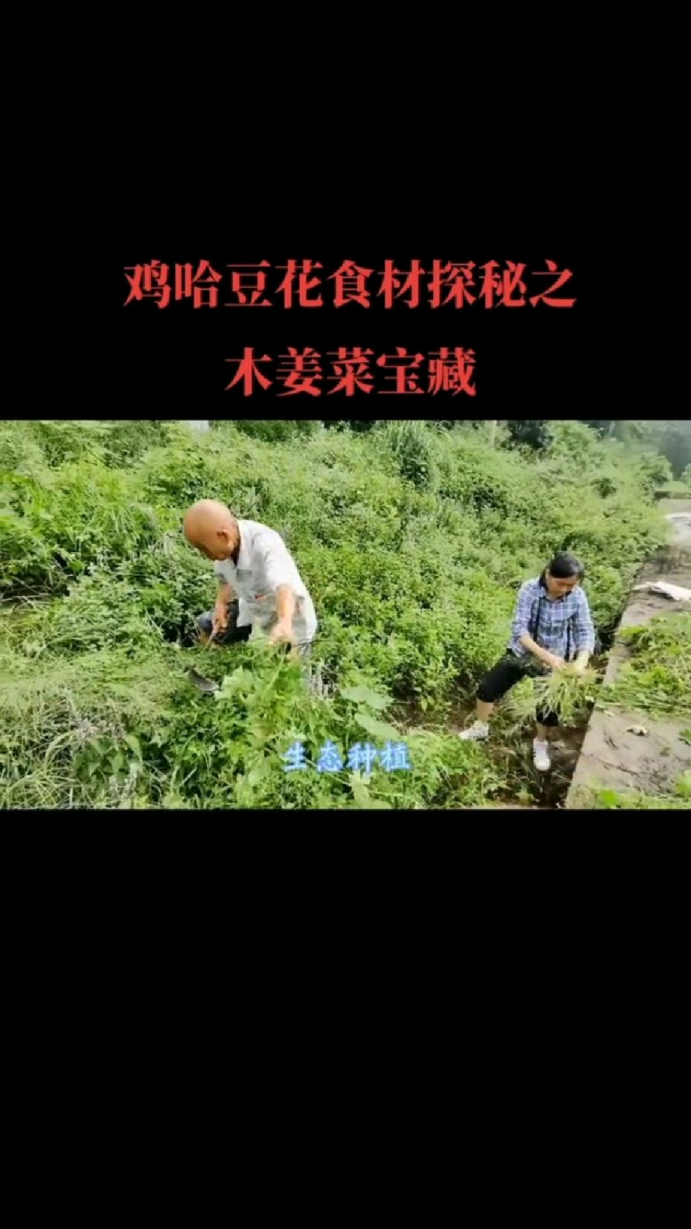 感恩父母亲对鸡哈豆花的付出!