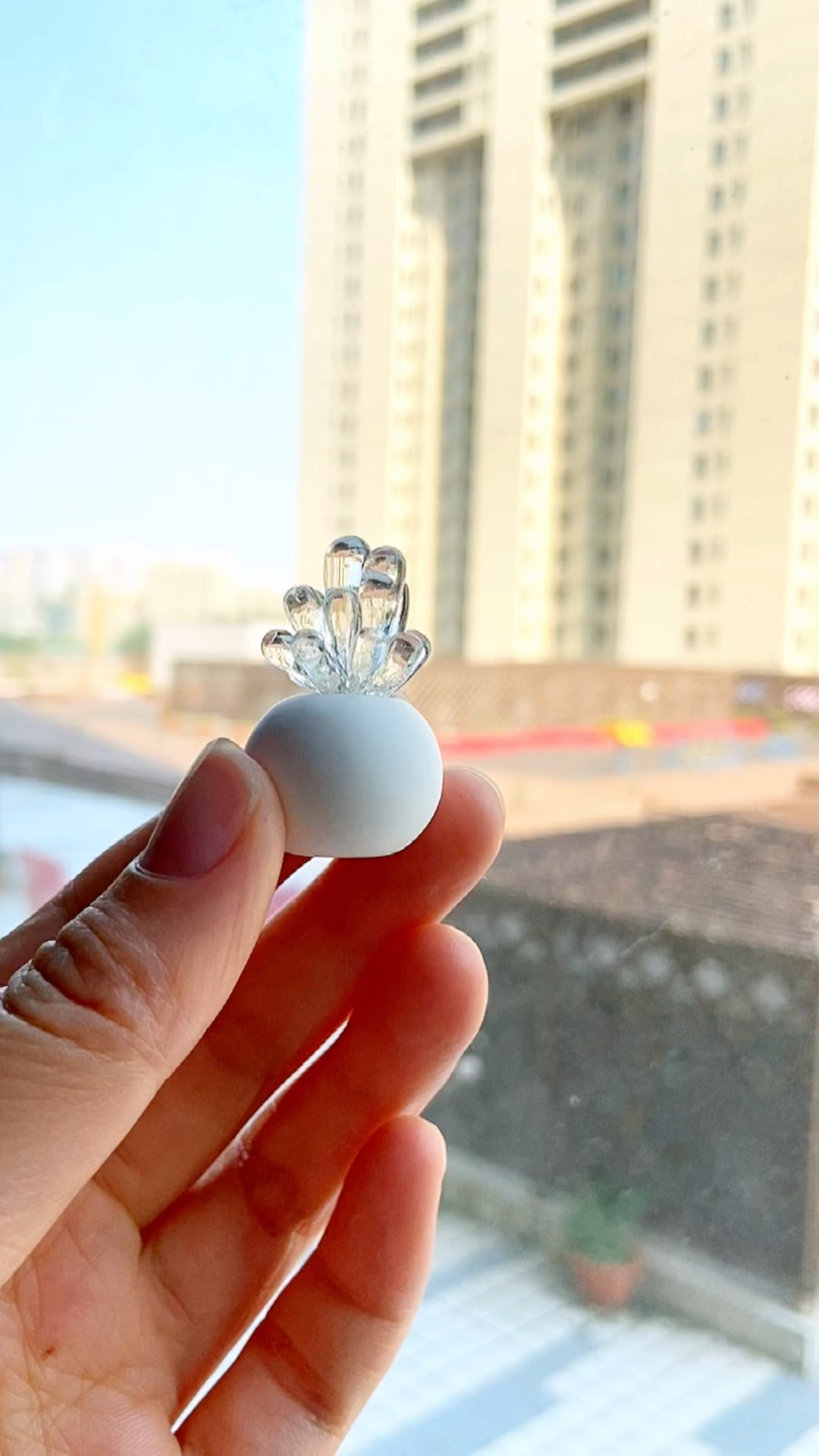 看这里有有个迷你的透明多肉