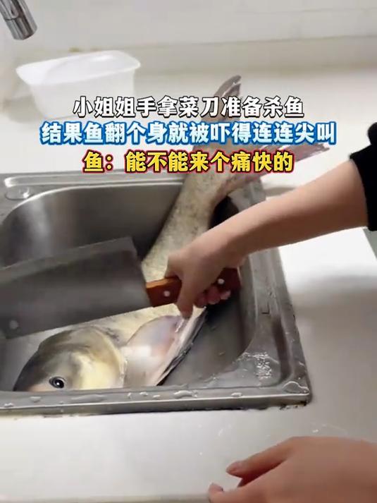 小姐姐手拿菜刀准备杀鱼,结果鱼翻个身就被吓得连连尖叫,鱼:能不能来个痛快的