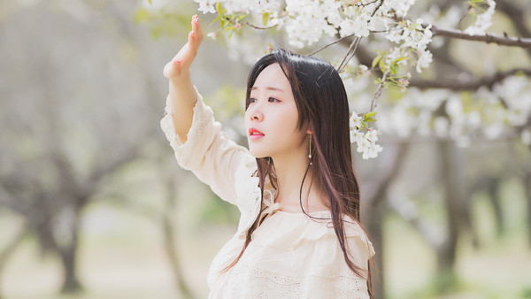图片[26]-三生三世，百里樱花-六色网