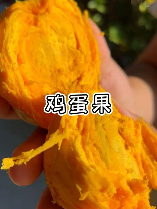 又香又糯又甜的鸡蛋果!很多人都没见过没吃过!特别好吃!