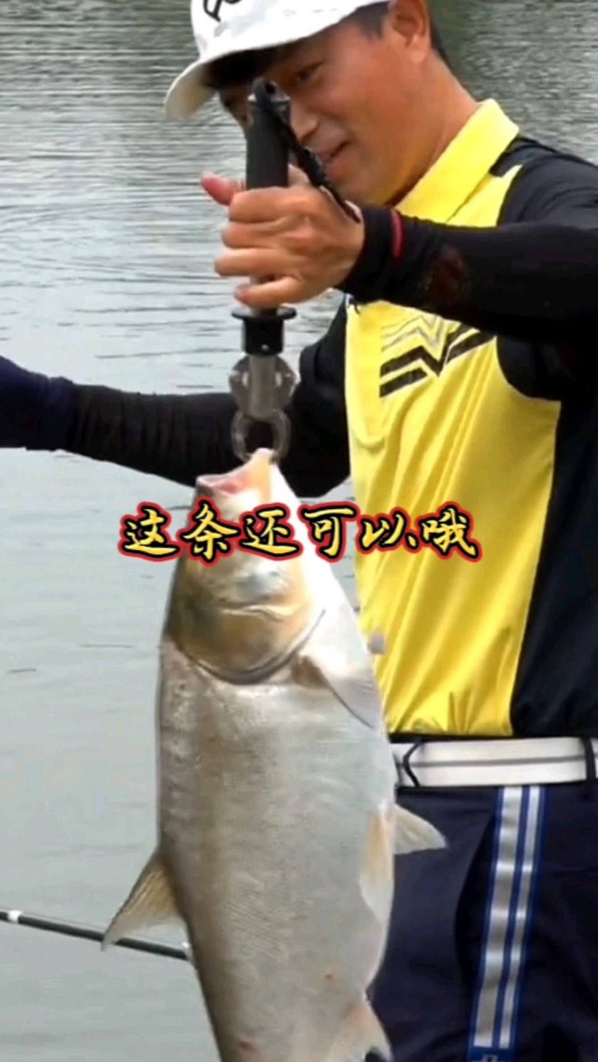 邓刚老师钓鱼视频
