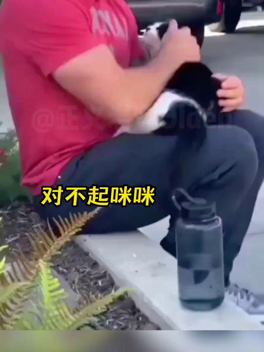 动物配音丨企鹅:我说我QQ怎么登录不上了,原来是你俩挡住了