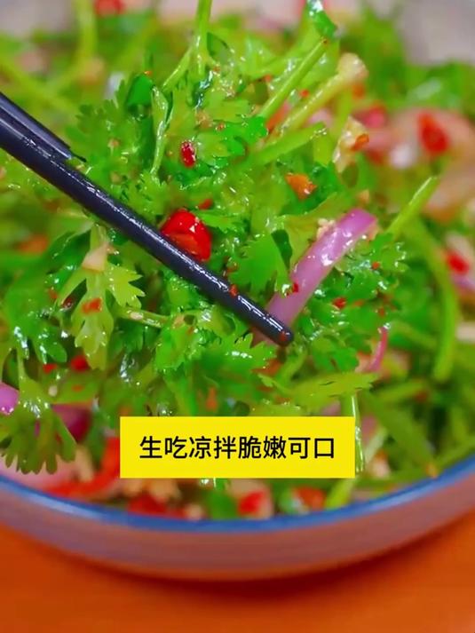 创意美食源起,小叶香菜种热卖中