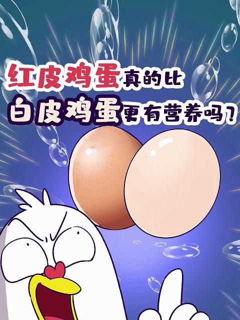 红皮鸡蛋真的比白皮鸡蛋更有营养吗