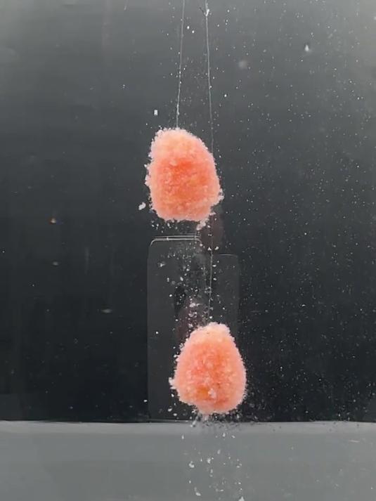 冬季想钓滑口鲫鱼鲤鱼,简单教你一个开饵方法,轻松打连杆!