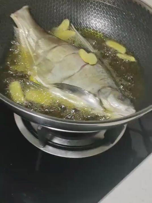 跟我混有鱼吃,今天泡泡球照样钓到大武昌