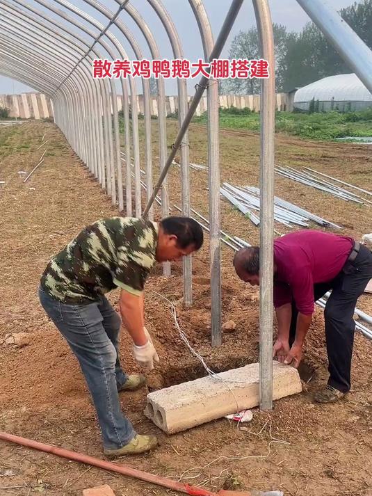 新型养殖大棚,温室大棚安装设计