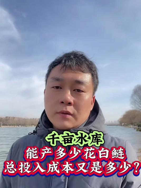 千亩水库能产多少花白鲢?总投入成本又是多少?#花白鲢养殖##四大家鱼养殖##养鱼##水产养