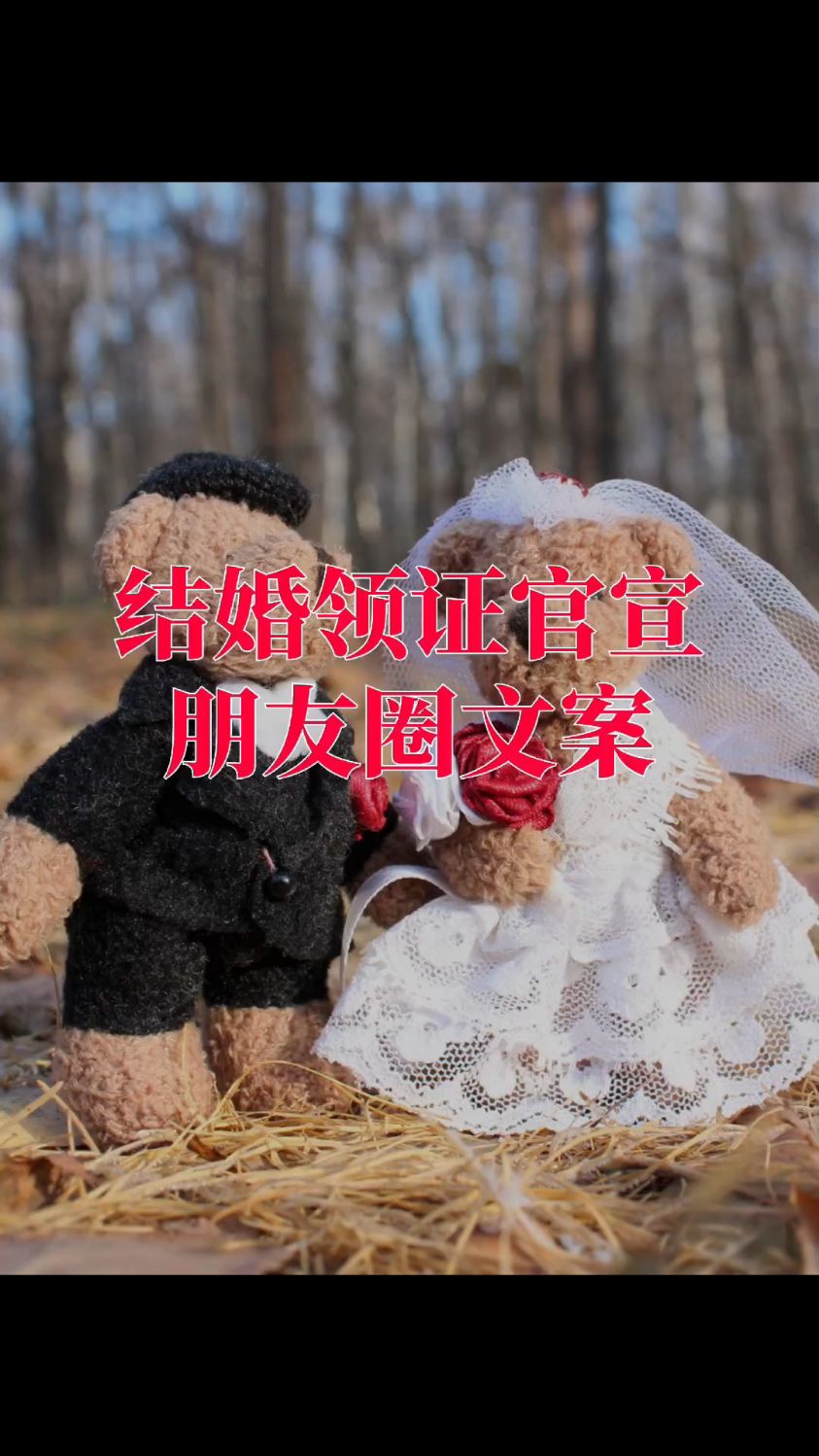 结婚领证官宣朋友圈文案,甜蜜唯美,文艺走心