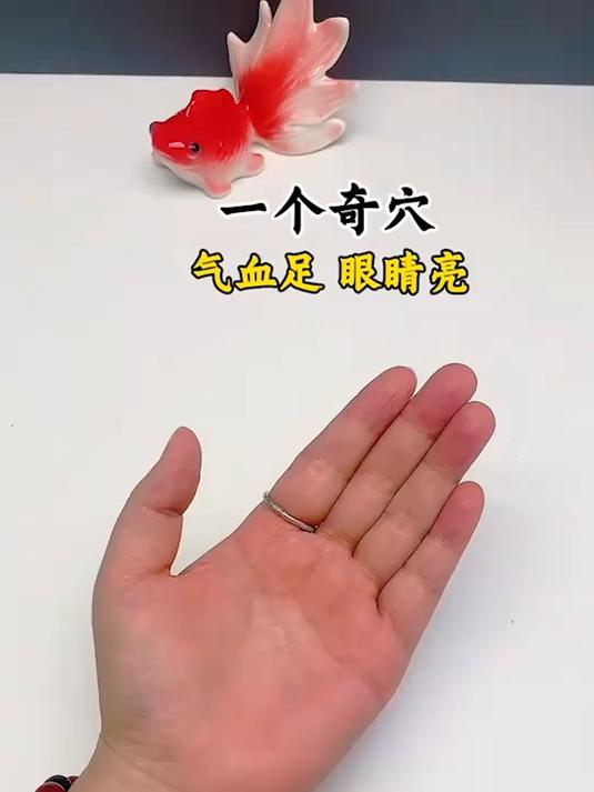 「速领」居家食补养生课，不花一分钱，养生食疗课程别错过！