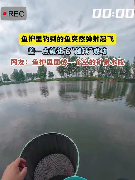 鱼护里钓到的鱼突然弹射起飞,差一点就让它“越狱”成功